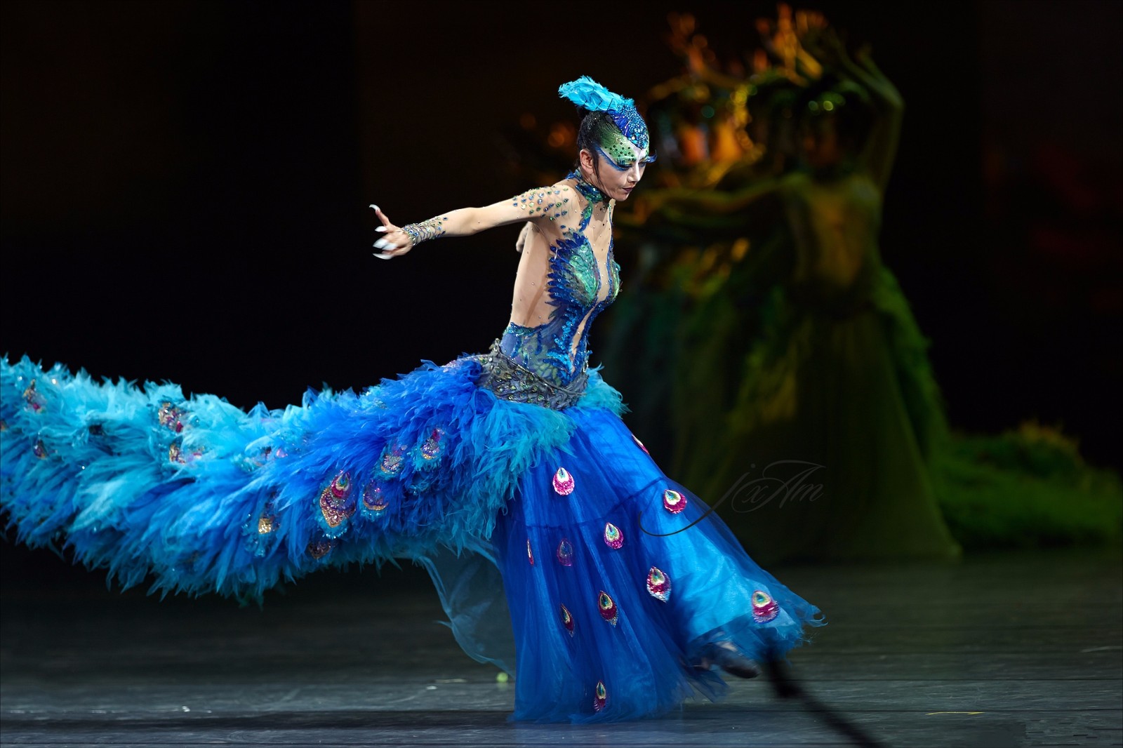 入手困難! 遊戯王 シールダスEX ホログラム 孔雀舞&パーピィレディ D006 入手困難! 遊戯王 シールダスEX ホログラム 孔雀舞&パーピィレディ