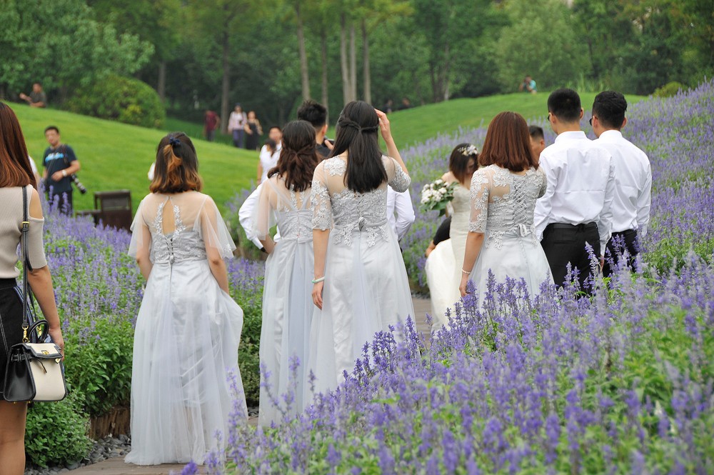 花海中偶遇新娘新郎拍摄新婚庆典婚纱外景 伴娘团伴郎团吸足眼球