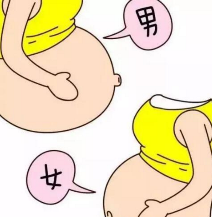 然妈我觉得这个每个人有每个人的形状判断,因为之前有人看然妈的肚子