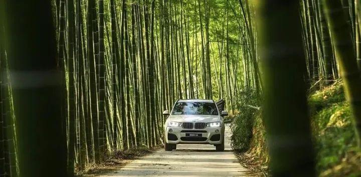 穿梭于竹林绿水间，X之旅让每一公里都不平凡