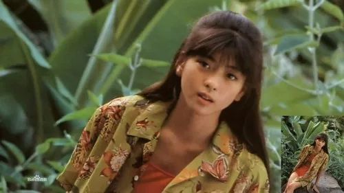 在和李连杰合作过后,中山忍在中国再无其他作品,但是却让大家记住了她