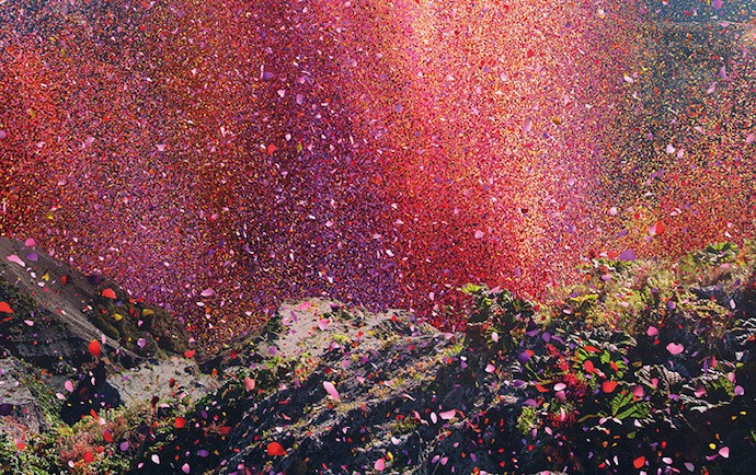 花瓣纷飞的哥斯达黎加