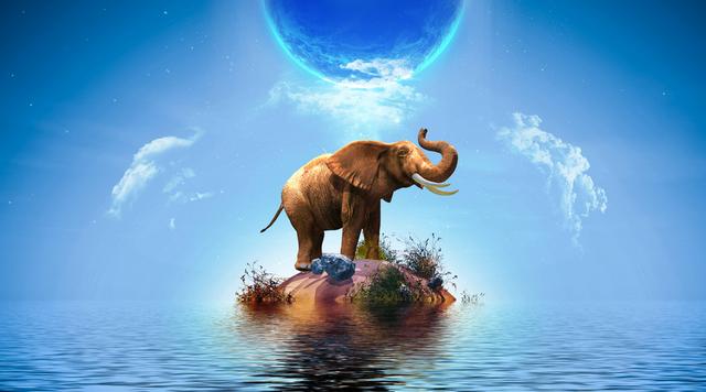 深夜孤独如何解?美女外卖服务背后的情感经济链