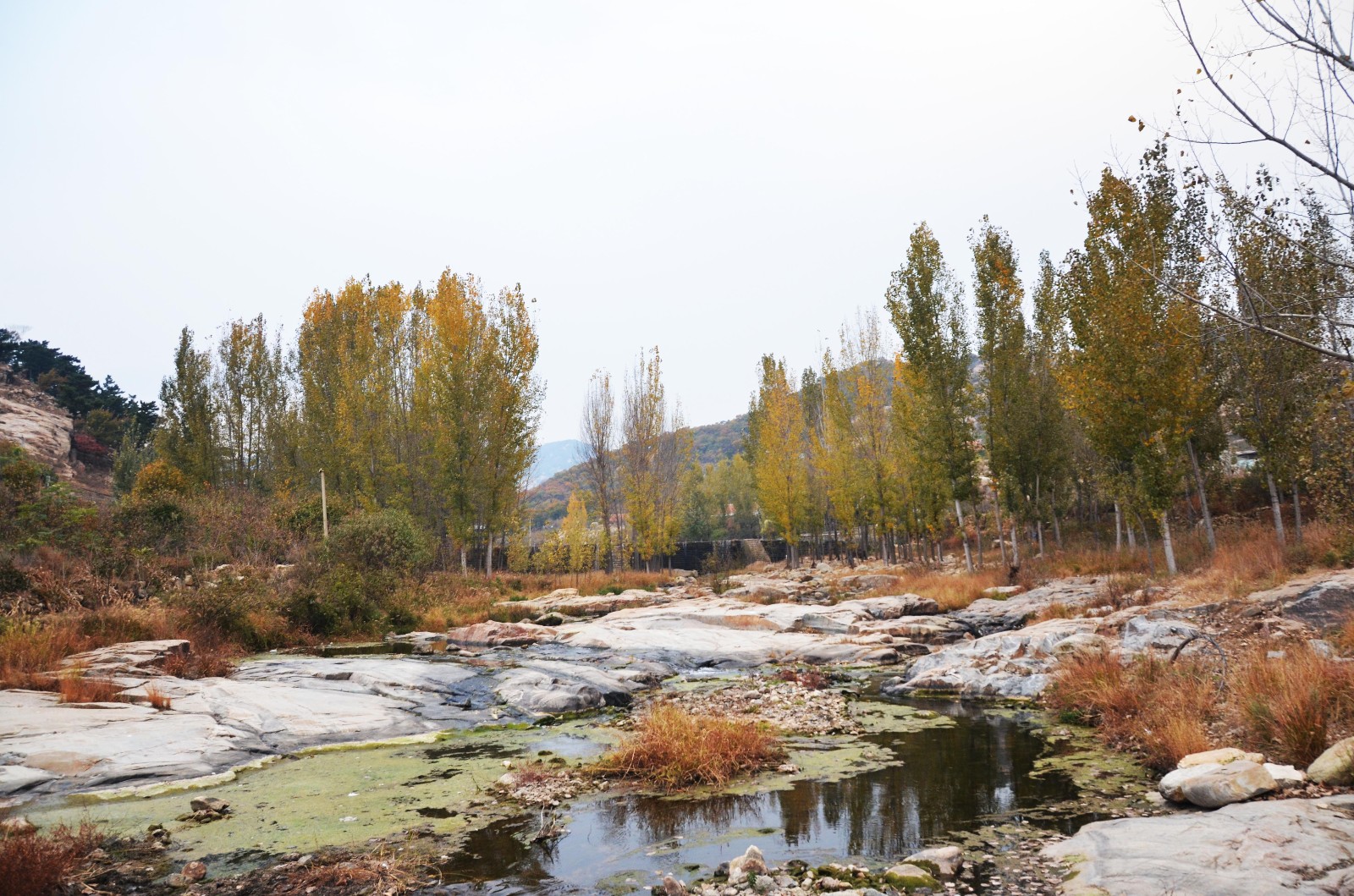 平邑拼多多淘宝开店培训胶合板厂家推荐及报价详情