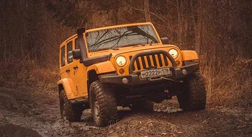 地球十大陆地霸主，我敢保证你一台都没见过！