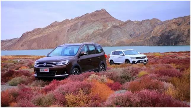 究竟是啥车20天订单突破1.6万台，还让潘帅公然“表白”