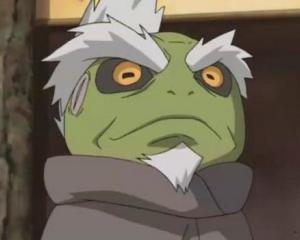 火影忍者妙木山蛤蟆到底有几只很少人知道它