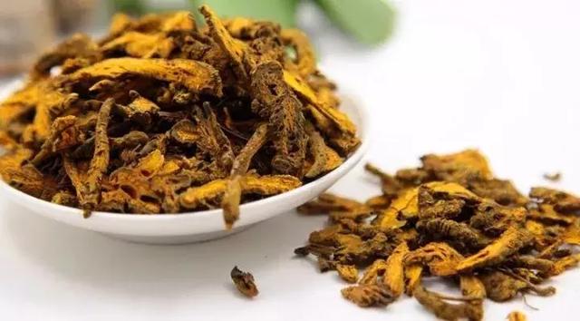 神农本草经药物解读——黄连