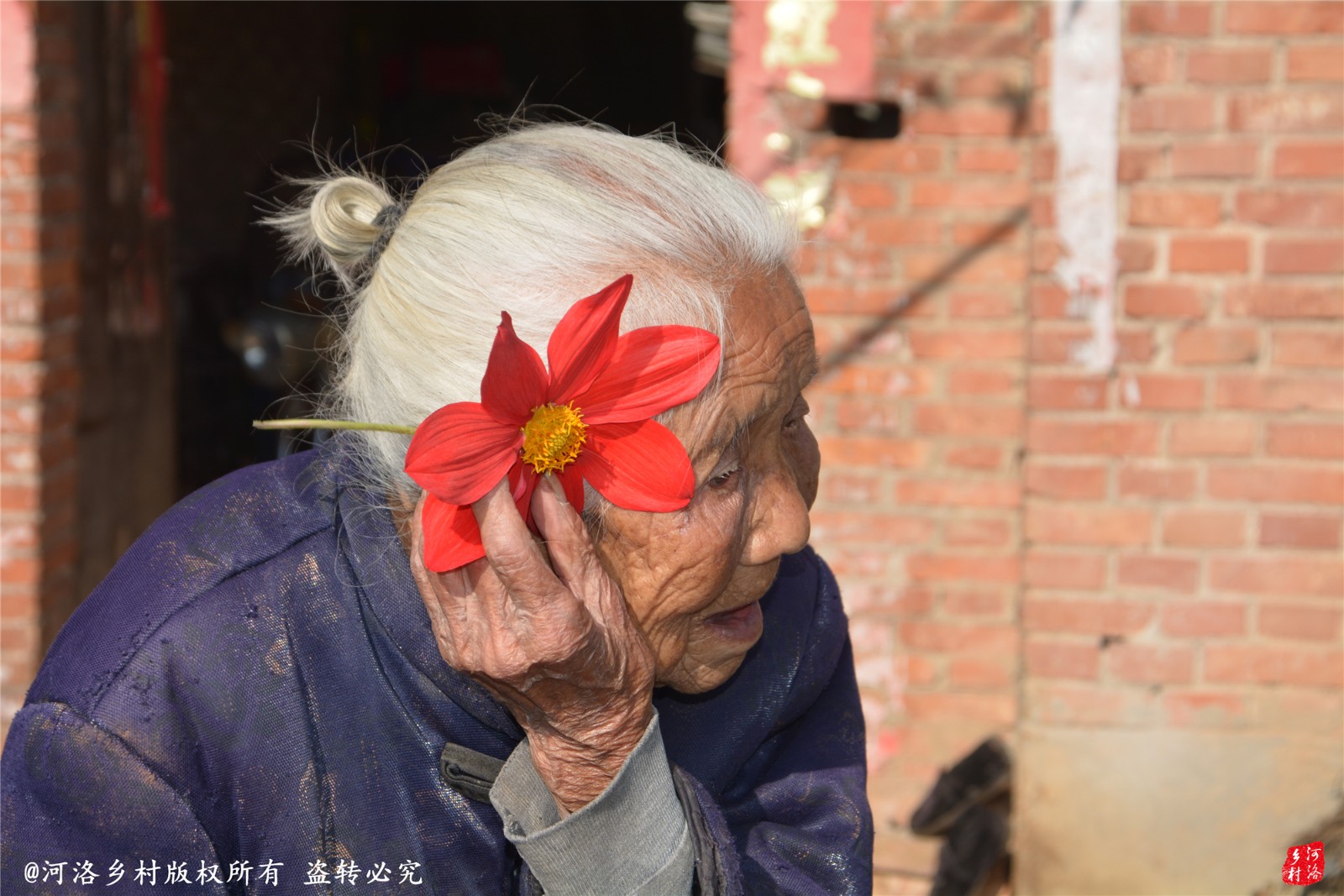 百岁老太戴花接女儿 放弃城里楼房