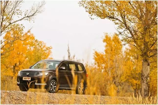 究竟是啥车20天订单突破1.6万台，还让潘帅公然“表白”