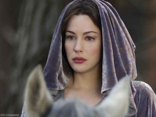 专访丽芙泰勒:内衣照性感到犯罪 最想尝尝中国饺子