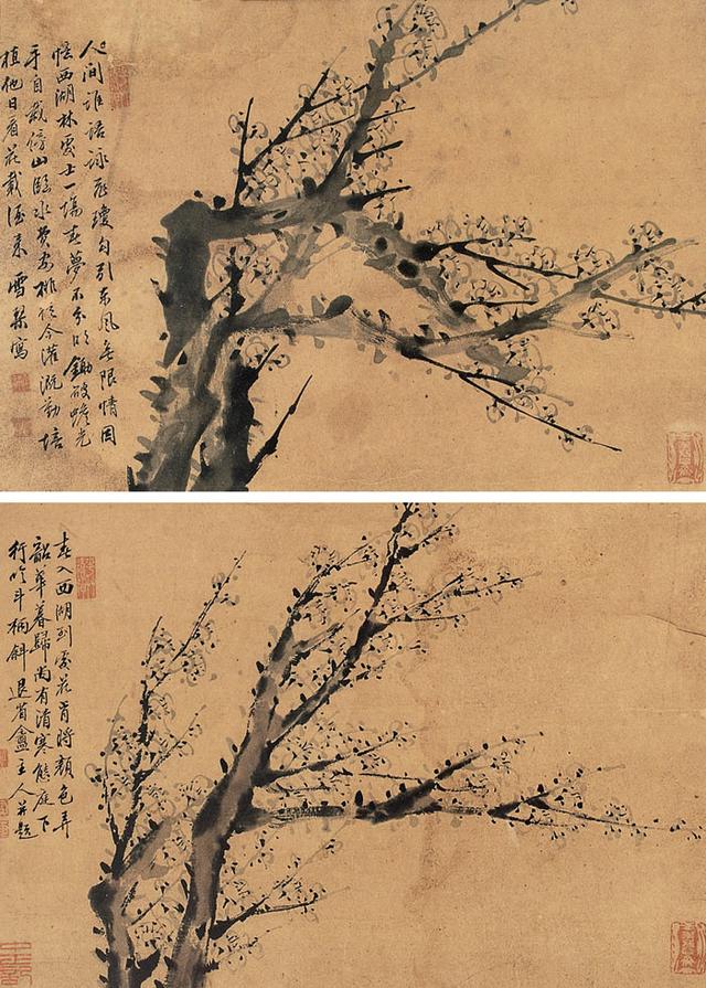 虽然比他大两三岁,但她是外祖母的养女,按辈分彭玉麟应该叫姑姑.