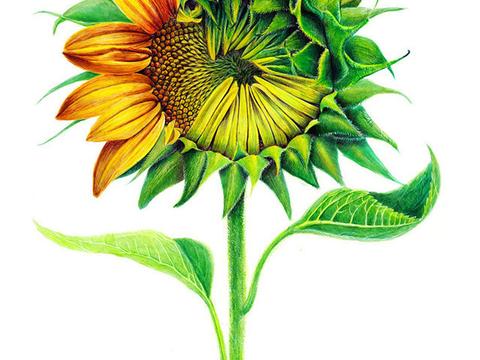 11月三大风象星座运势 天秤把握机会改变 双子