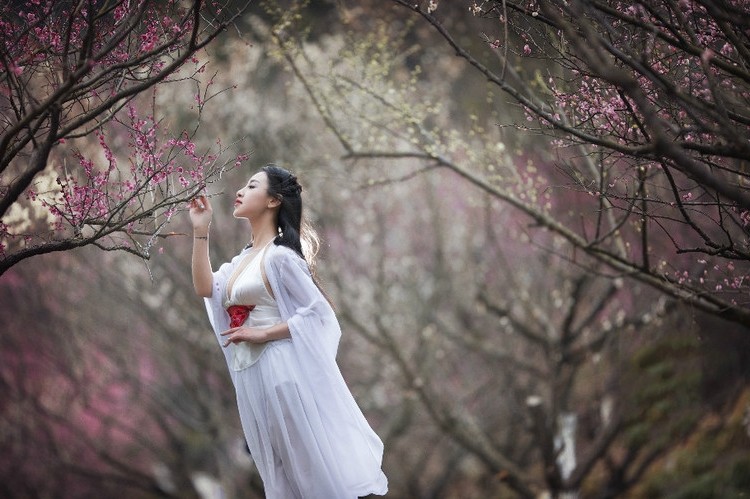 花开树下一个美丽可爱的江南古韵女子!_新浪看点_手机新浪网