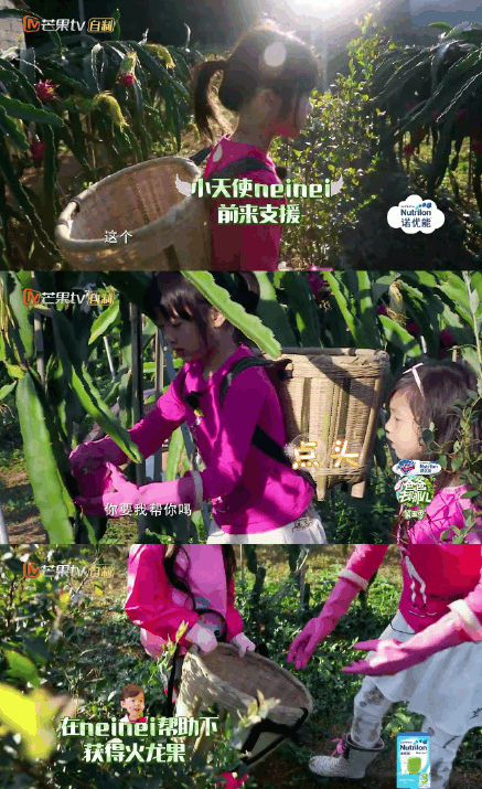 超级富豪吴尊女儿neinei,是公主更是天使,诠释了真正的贵族