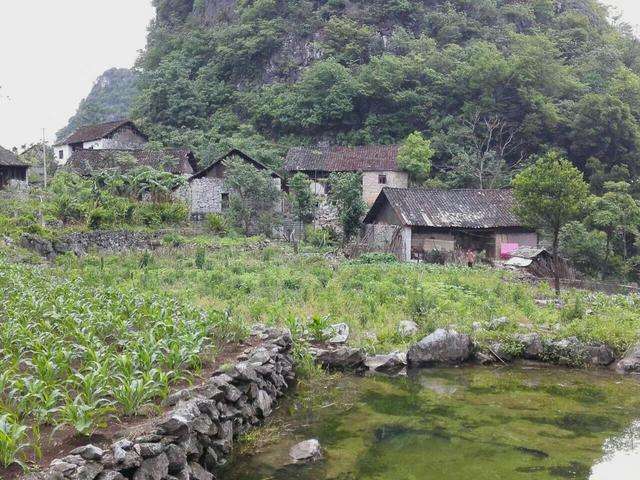 农村大山深处 发现一种国家濒危珍稀保护动物