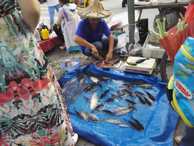 农民路边卖鱼引来不满,农村小伙要走,顾客不答应了