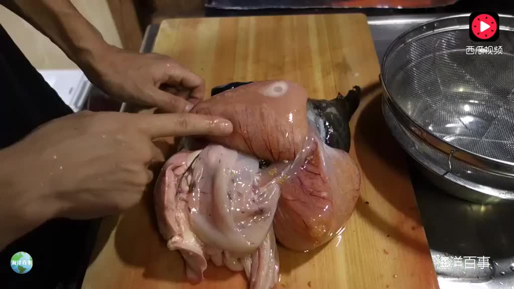 这鱼软趴趴还挺有弹性,切开肚子那一刻就知道此鱼非同寻常