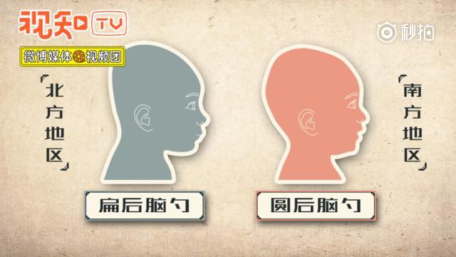 南方人的圆后脑勺,真的就比北方人的扁脑袋聪明吗?