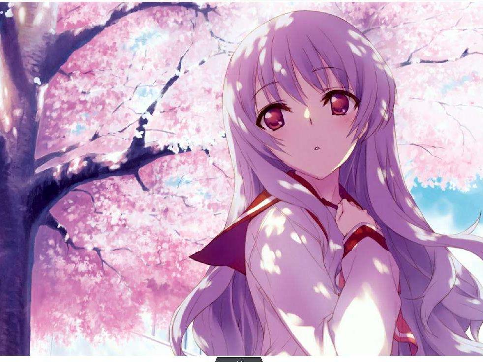 零基础学习日语3个月之内过N2,其实你可以试