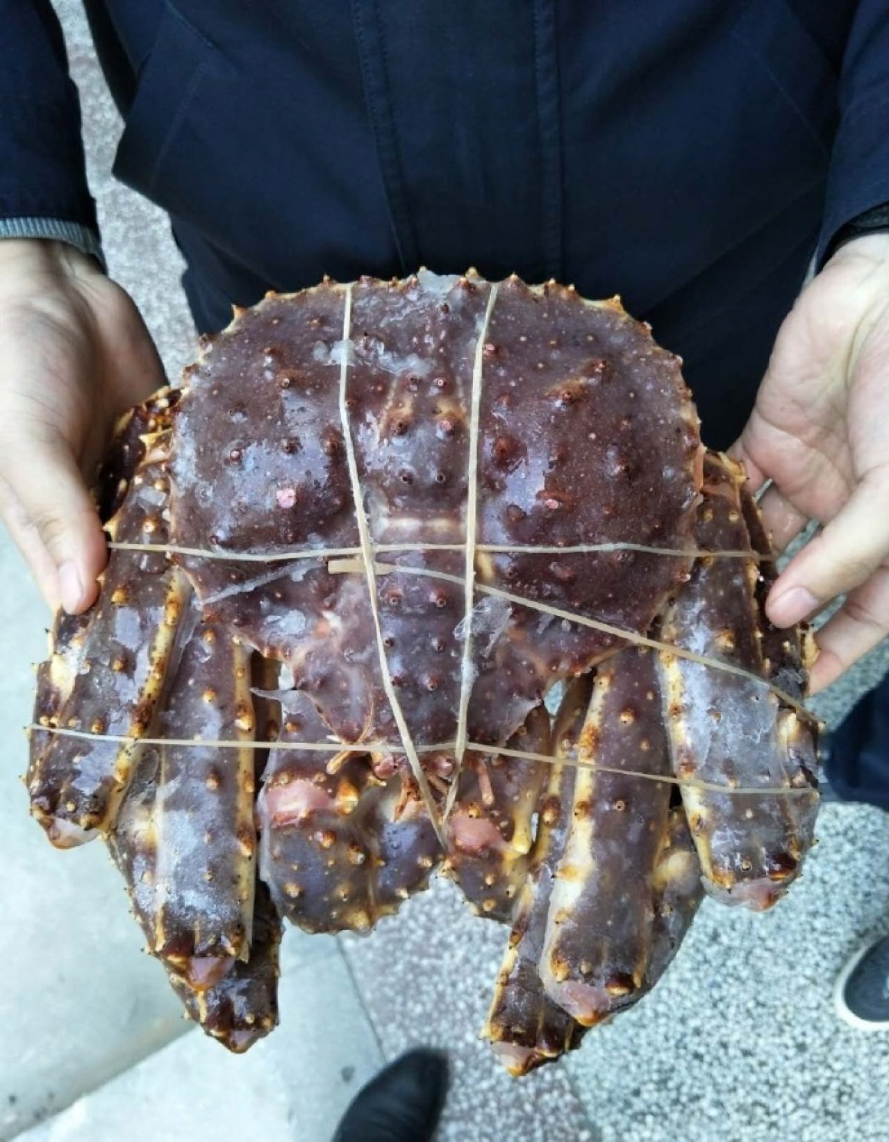 皇帝蟹当大蜘蛛安徽大妈吓到报警