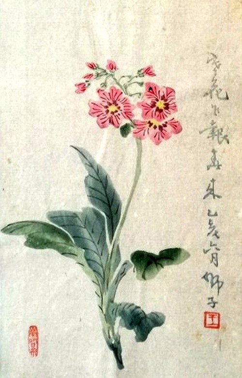 收藏冷门——花笺:文人学士喜好,历史文化见证