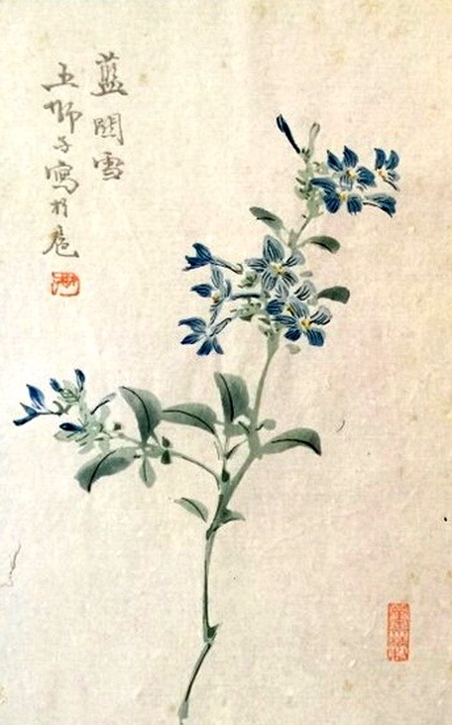 收藏冷门——花笺:文人学士喜好,历史文化见证