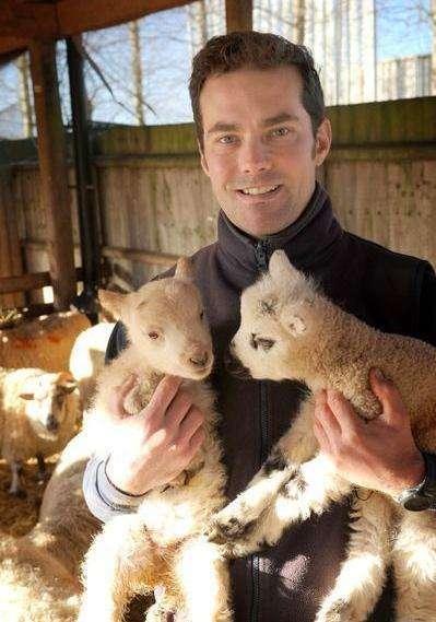 山羊跨栏后, 偷袭数十只母羊, 1天内33只母羊全部怀孕!