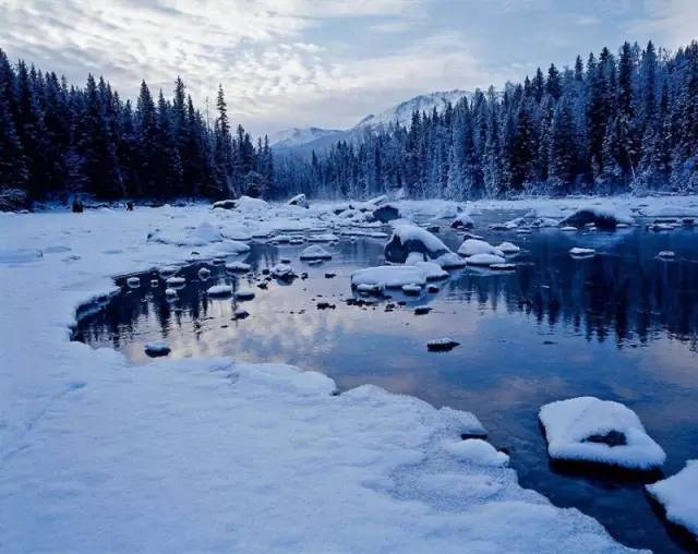 新疆下了一场雪,美哭了全世界!