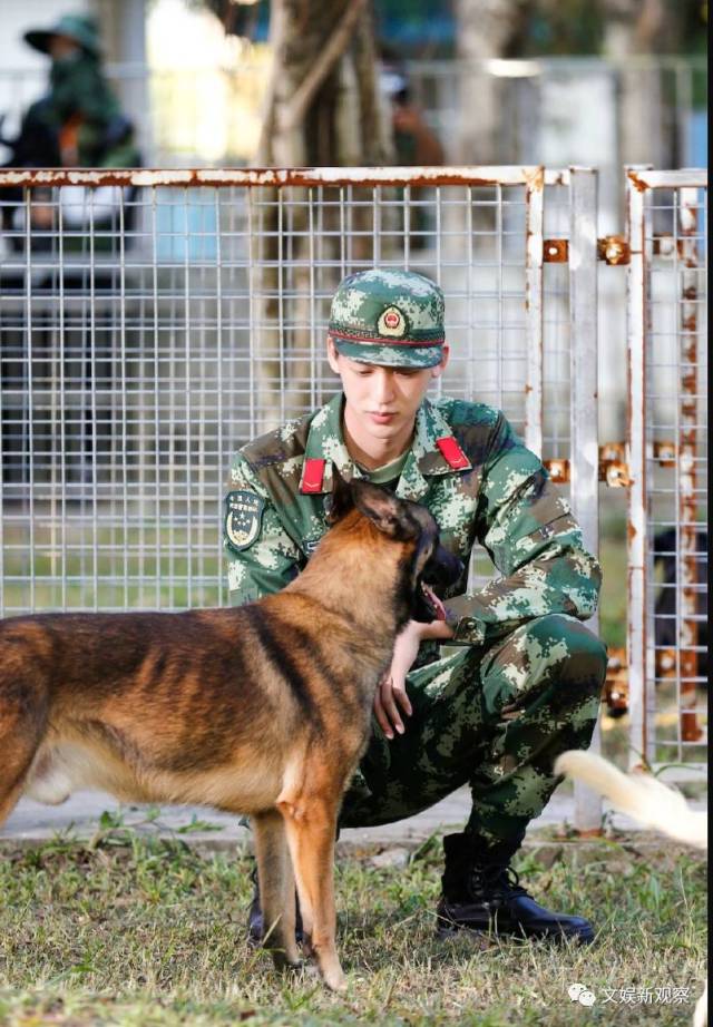 《奇兵神犬》:湖南卫视为何有勇气选它压阵2017综艺档?