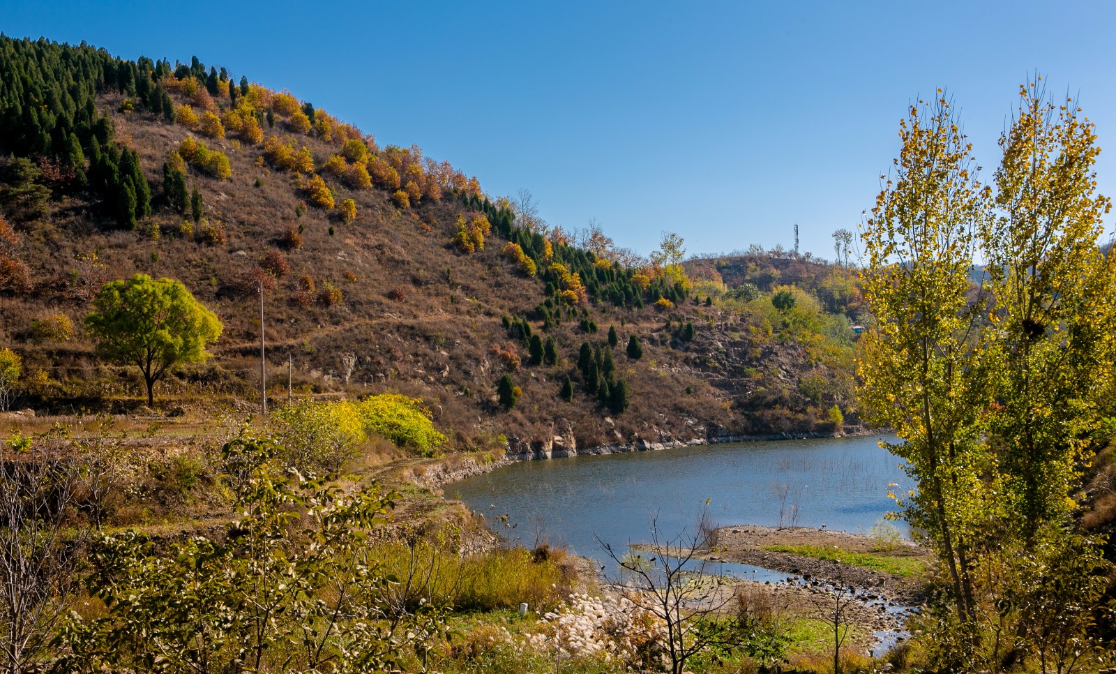 济南西营枣林水库秋色图|秋色|水库|济南_新浪新闻