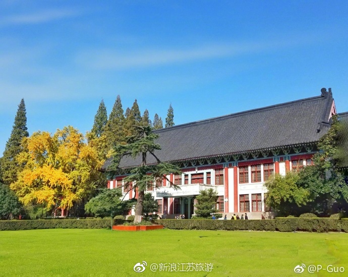 南师大随园校区，来东方最美校园看银杏[羞嗒嗒]|随园|校园|校区|东方|银杏_新浪新闻