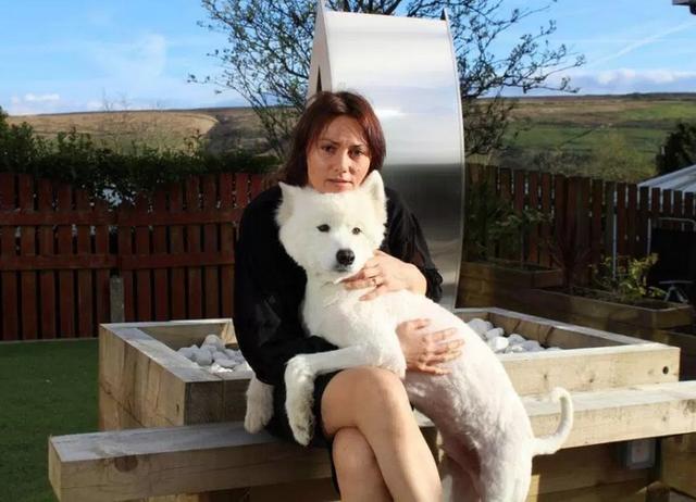 女主人把萨摩耶留在宠物店,吃完饭回来接它,狗狗却变成了这样!