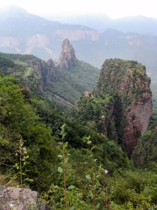 豫北最后一处原生态栖息处女地香木河景区