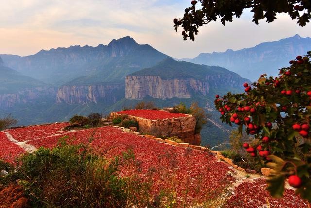 豫北最后一处原生态栖息处女地香木河景区