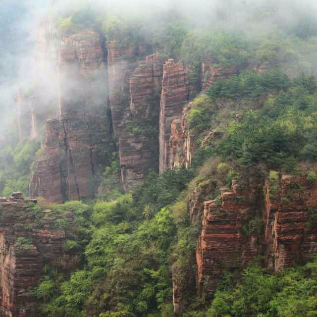 豫北最后一处原生态栖息处女地香木河景区