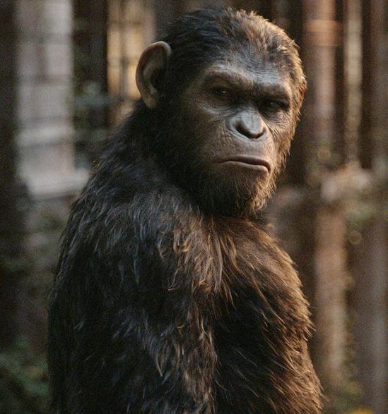 猩球崛起3票房破亿差强人意凯撒结局寓意深长