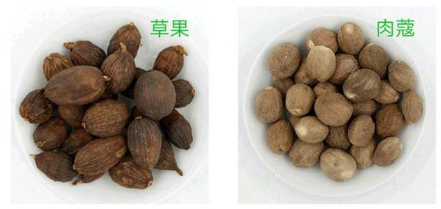 草果和肉蔻,两者结合在一起,有浓郁的辛辣香味,可以很好的去处腥味.