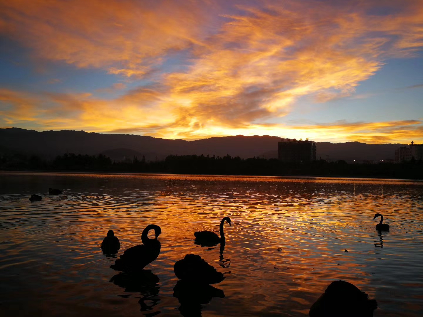 今天早上的云南临沧玉龙湖(@lcgs木子 摄).