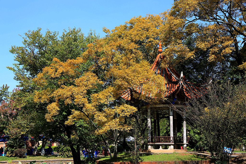 昆明大观楼南园秋天的风光