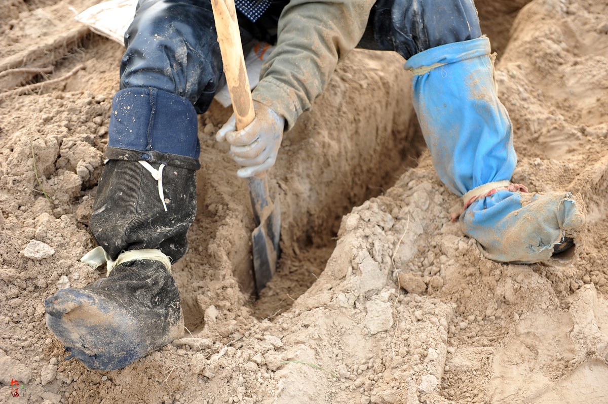 农村66岁老人席地而坐挖山药,泥土被磨成光滑小路_新浪看点_手机新浪