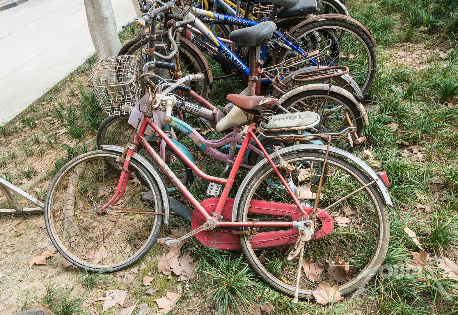 成都高校"共享单车"替代旧自行车 废旧单车无人认领