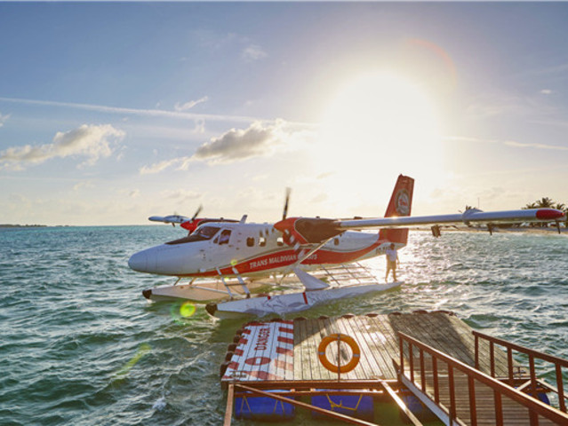 水飞蓟护肝功效与作用 水飞蓟怎么吃才有效