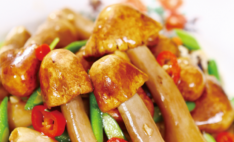 家常炒松茸 一步一步教你做