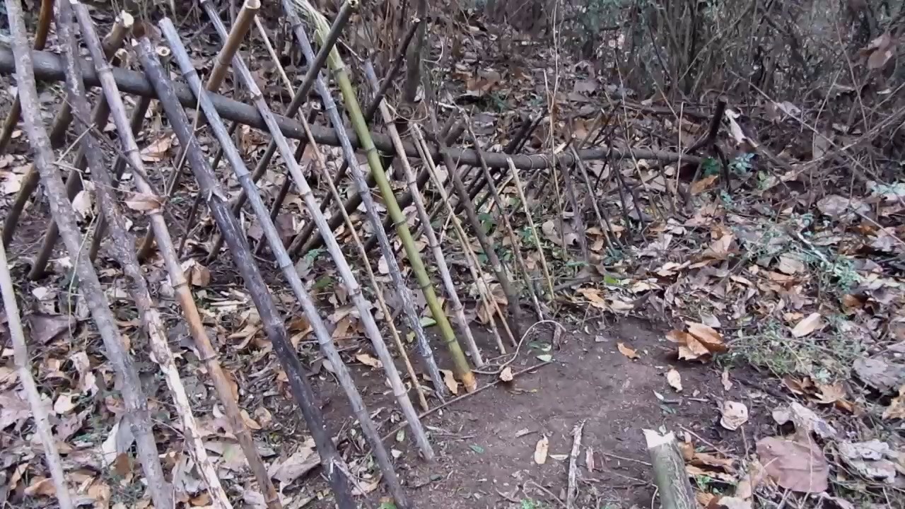 搭建荒野求生贝尔式简易临时庇护所|庇护所|荒野|贝尔_新浪新闻