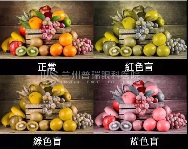 兰州普瑞色盲眼中的红绿灯竟然是这样的