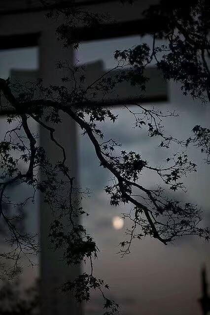 秋越来越浓了,天越来越冷了,来,饮了这杯回忆的酒?