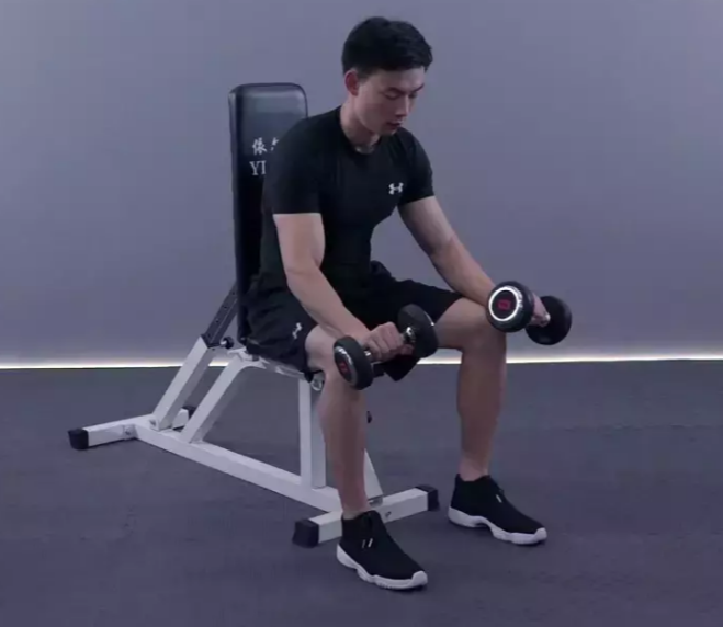 动作教学坐姿哑铃正握手腕弯举