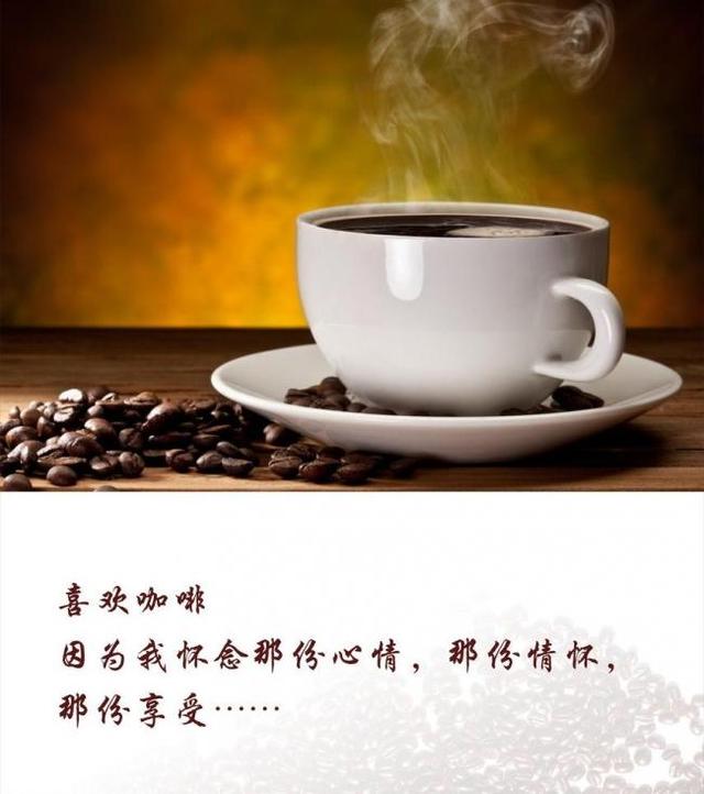 遇到生活知识"空白" 90%的人第一反应是上网搜索|咖啡|空白|知识_新浪