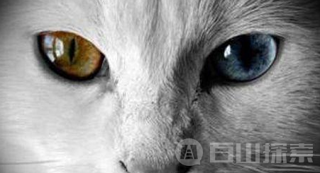 阴阳眼是什么?阴阳眼是真的吗?